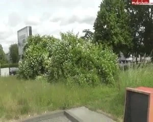 blowjobs public